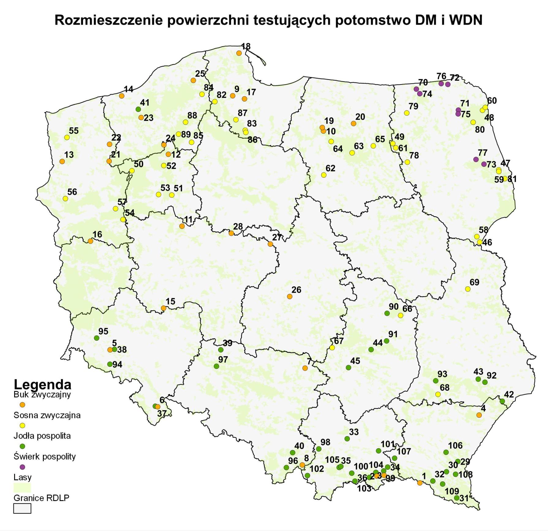 Powierzchnie testujące w Polsce