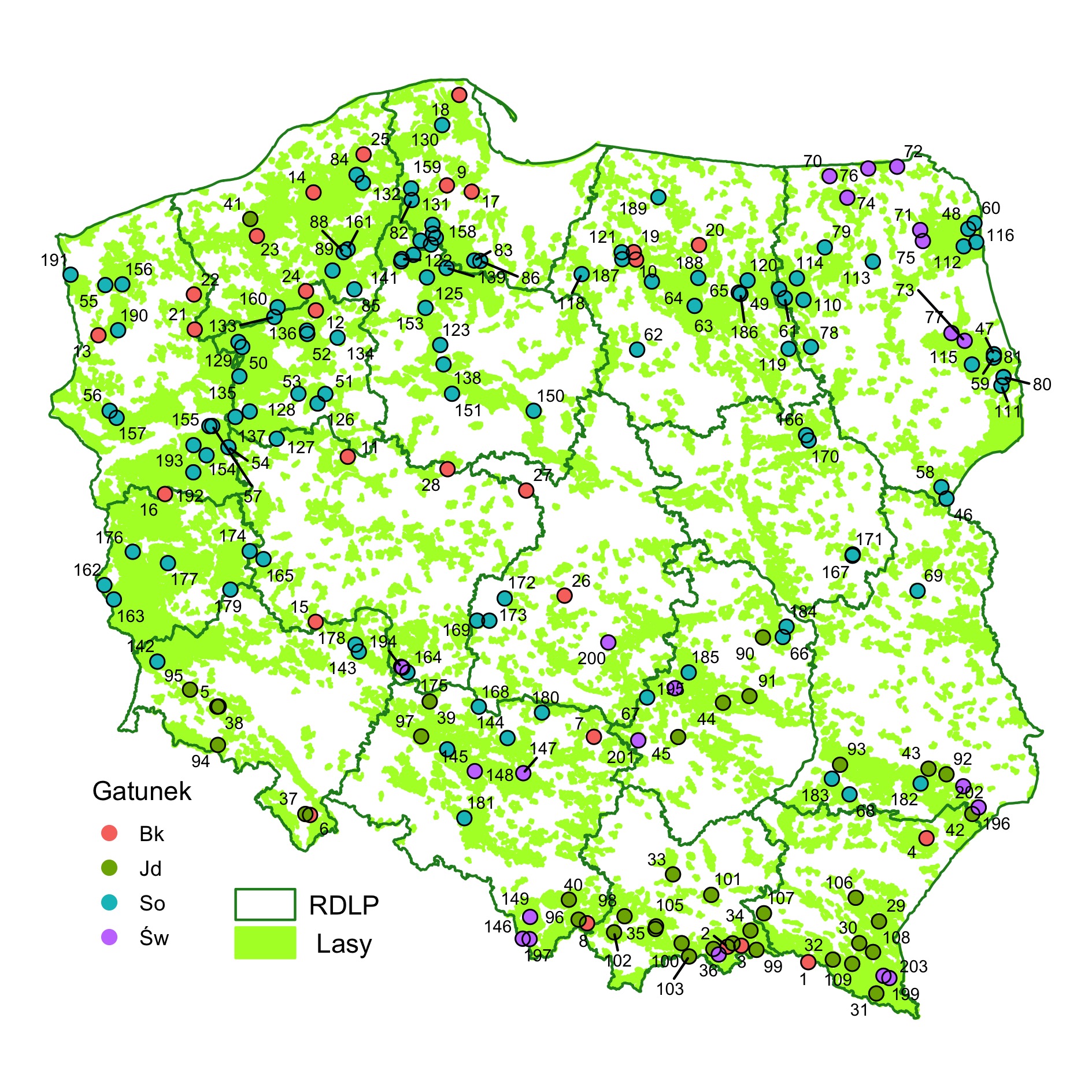 Powierzchnie testujące z sosną 2021