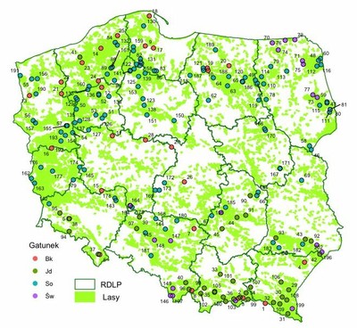 Powierzchnie testujące w Polsce